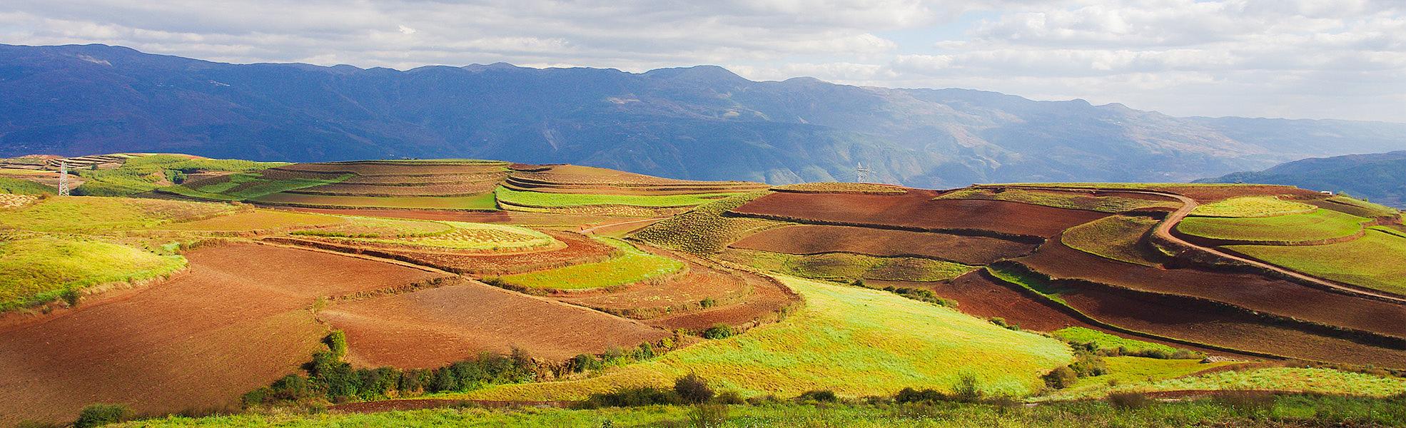 Dongchuan Red Land